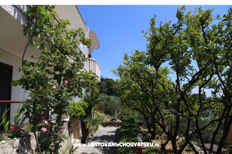 Apartmaji Mare – foto 17