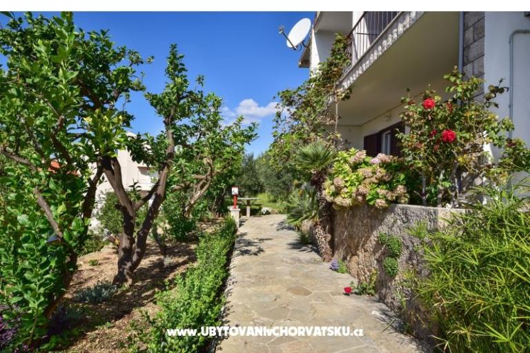 Apartmaji Mare – foto 9