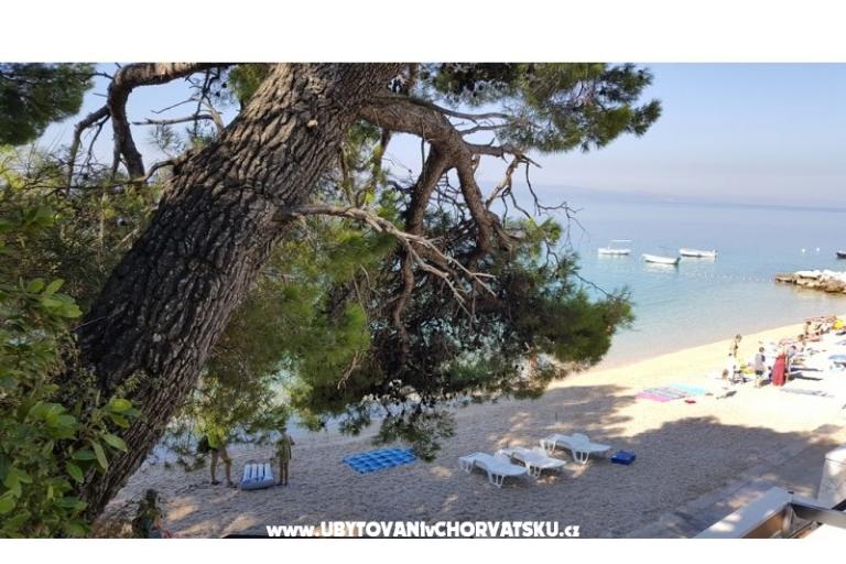Hiša Pokoje Soba Villa Sodan – foto 11