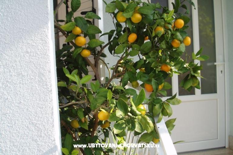 Apartmaji Orbanić – foto 14