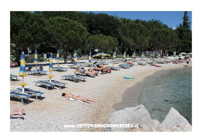 Apartmaji Evica – foto 8