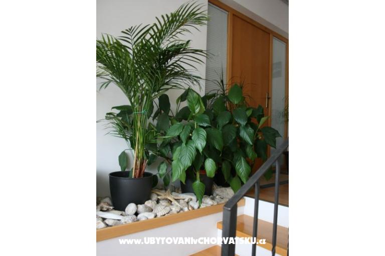 Apartmaji Katarina – foto 4