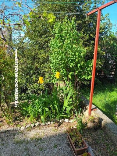 Apartmaji Rosi – foto 6