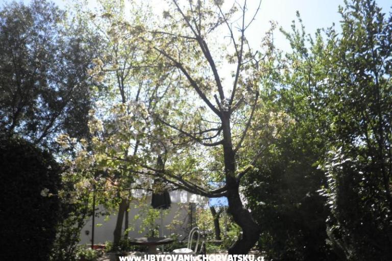 Apartmaji Rosi – foto 9
