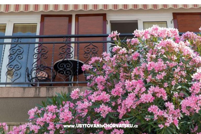 Apartmaji Tea – foto 5