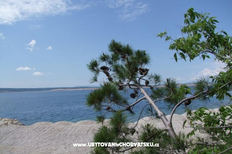 Apartmaji Višnja – foto 13