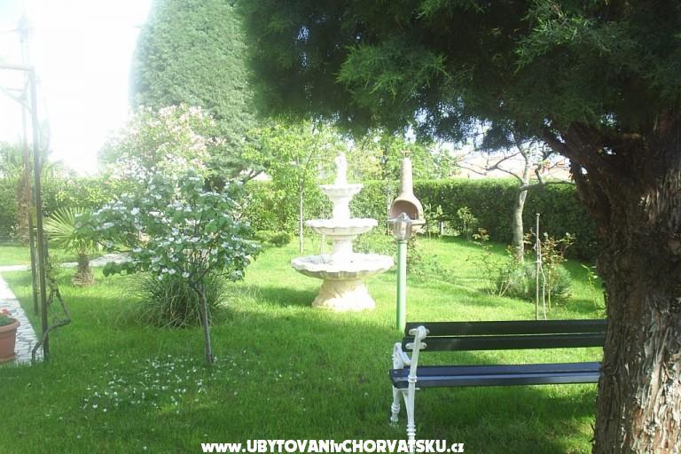 Apartma Belle Vue – foto 8