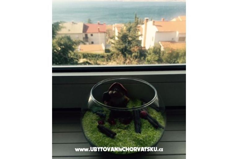 Apartma Sunny – foto 13