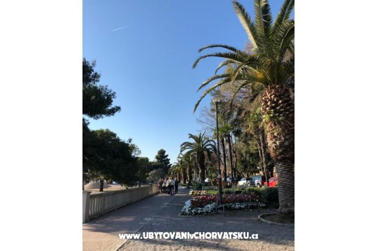 Apartmaji Sun and Sea – foto 10