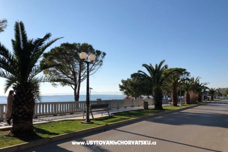 Apartmaji Sun and Sea – foto 11
