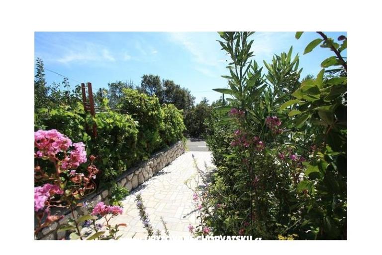 Apartmaji MOKI – foto 4