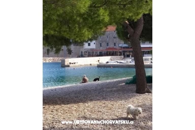 Apartmaji Plavi Jadran – foto 7