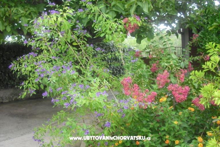 Apartma Jerkunica – foto 12