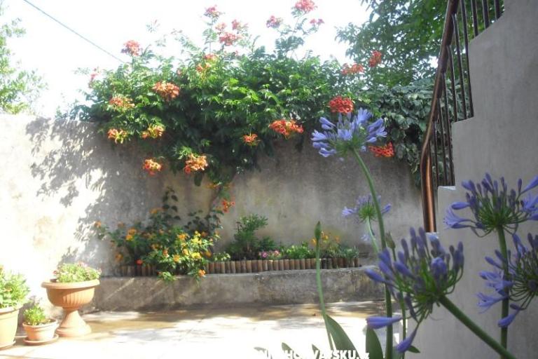 Apartma Jerkunica – foto 8