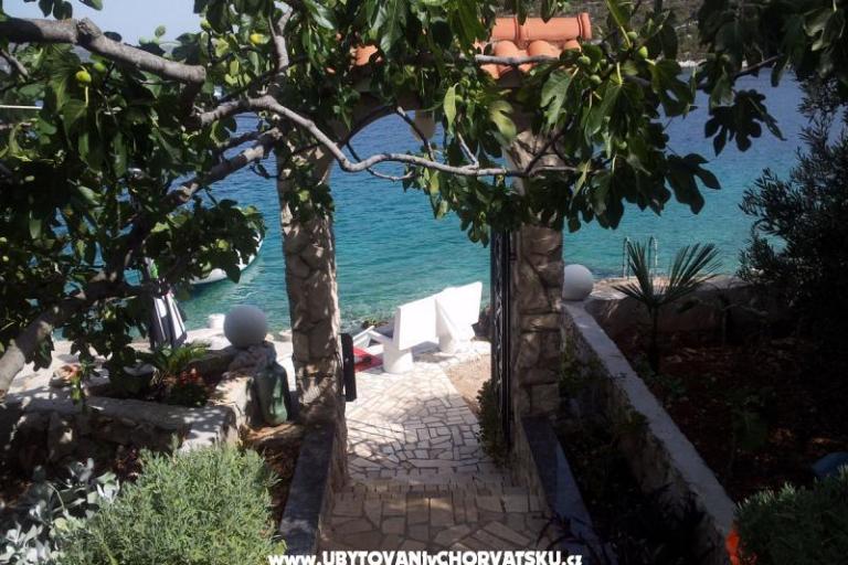 Apartma L MAR – foto 12