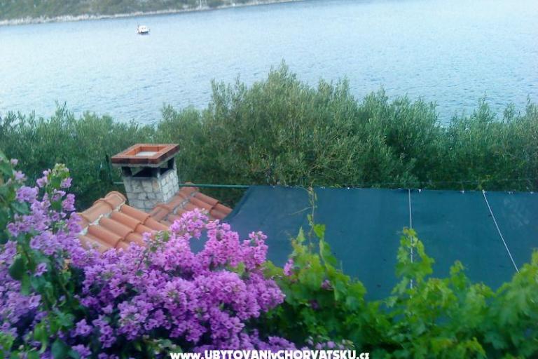 Apartma Žulji – foto 8