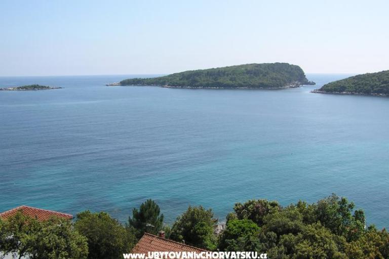 Apartmaji Antunović – foto 15