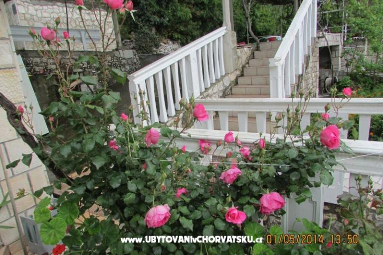 Apartmaji  Anka – foto 17