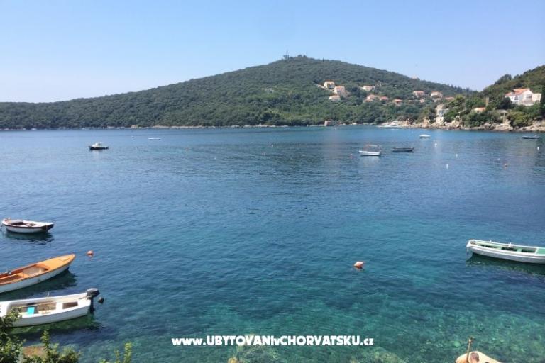 Apartmaji Antunović – foto 11