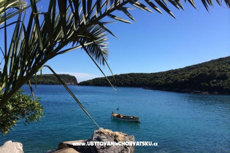 Apartmaji Antunović – foto 16