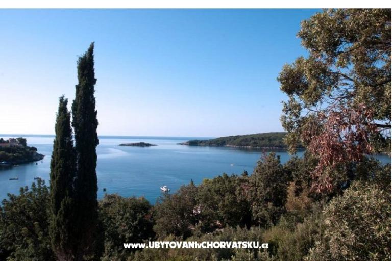 Apartma Iva – foto 2