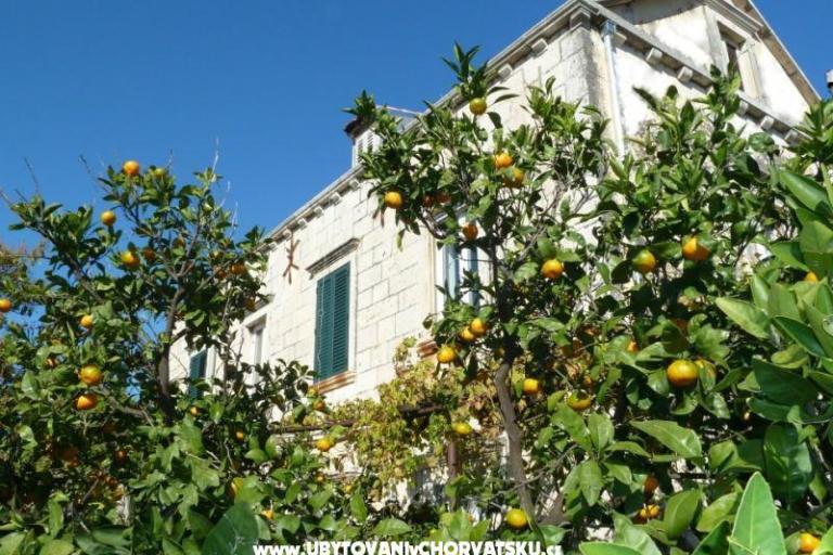 Apartmaji Mir Dubrovnik – foto 2