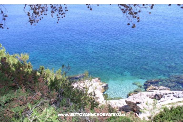 Apartma Franica – foto 9