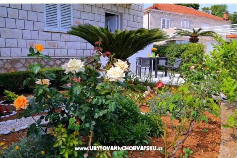 Apartmaji LOVE DUBROVNIK – foto 14