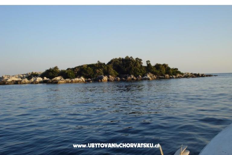 Apartmaji Rašica – foto 11