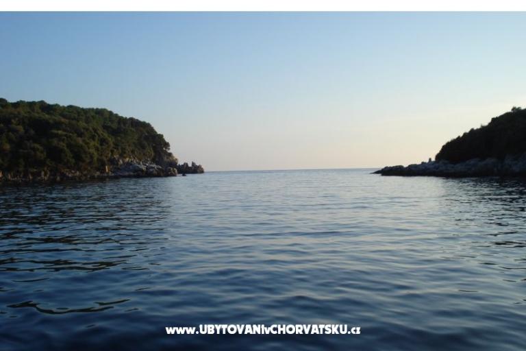Apartmaji Rašica – foto 13