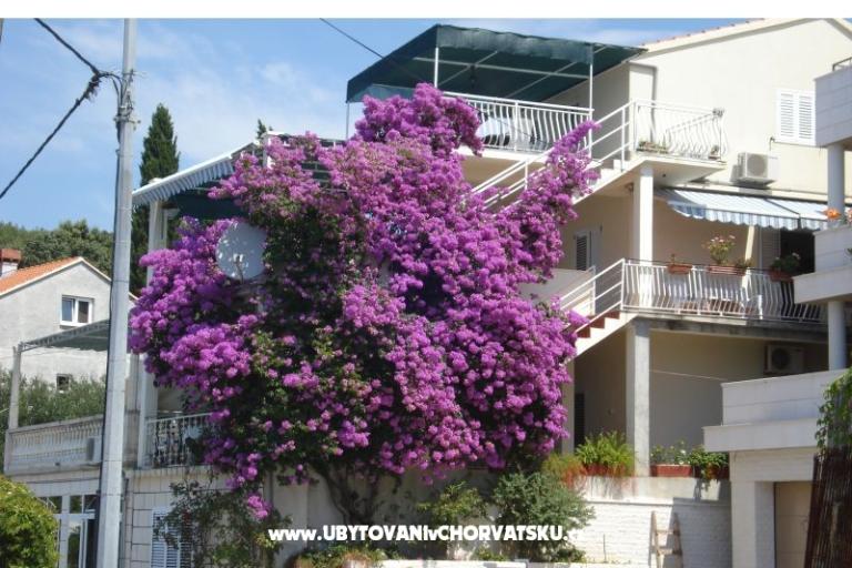 Apartmaji Rašica – foto 2