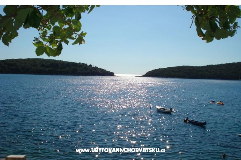 Apartmaji Rašica – foto 4