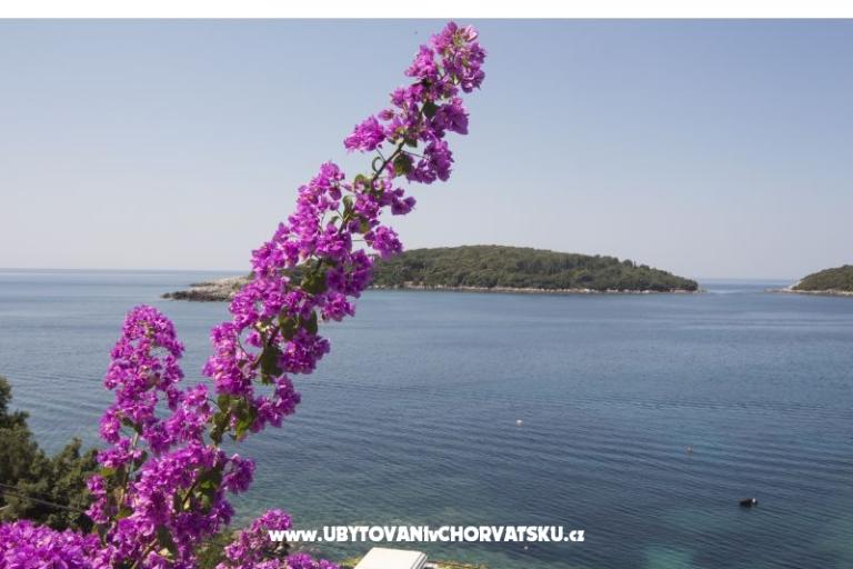Apartmaji Rašica – foto 5