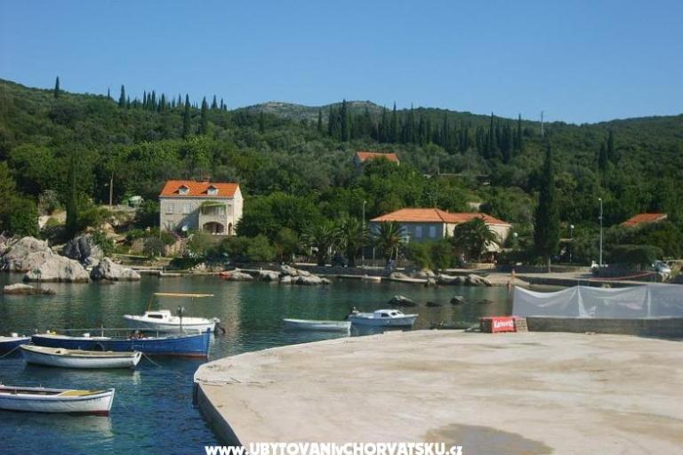 Apartmaji Vidak – foto 7