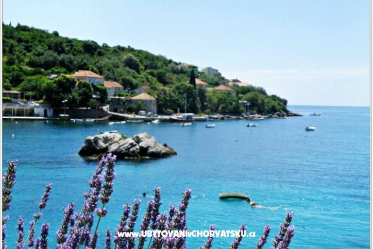 Villa Ana Apartmaji – foto 11