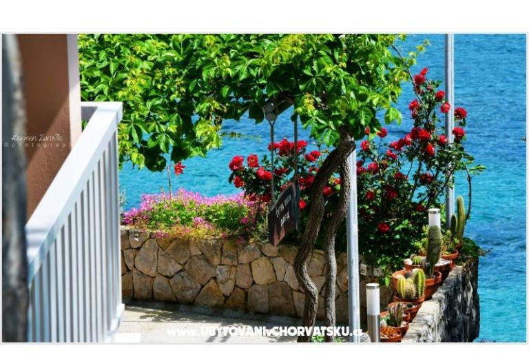 Villa Ana Apartmaji – foto 3