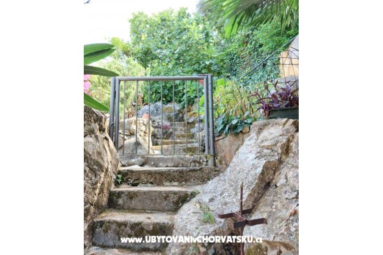Apartmaji Villa Riva Molunat – foto 17