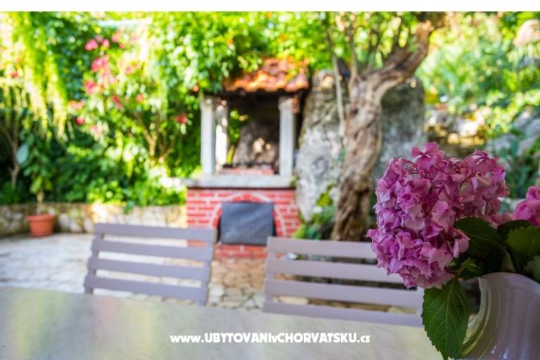 Apartmaji Villa Riva Molunat – foto 18