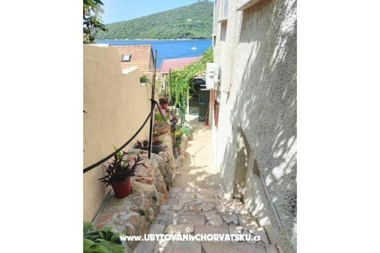 Apartmaji Villa Riva Molunat – foto 9