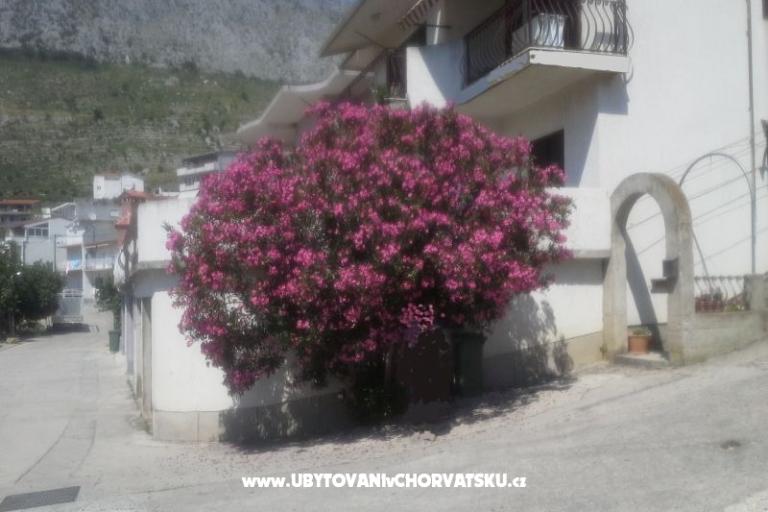 Apartma Pero – foto 3