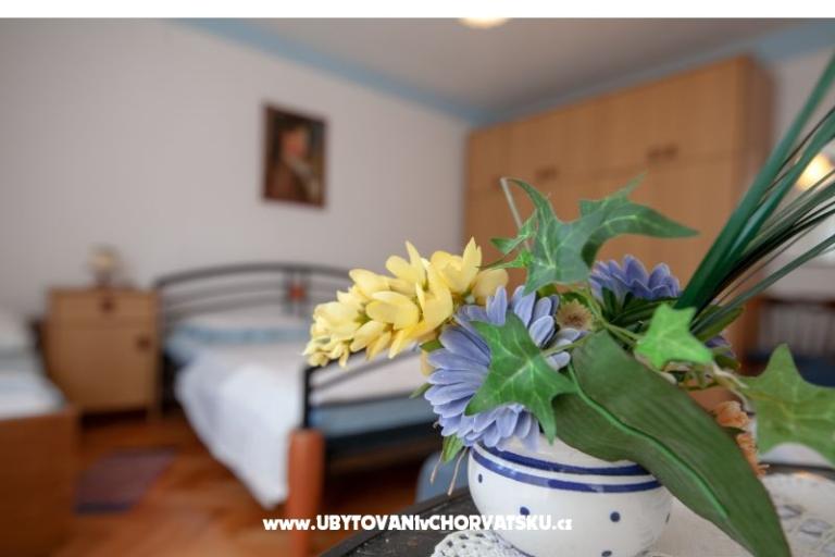 Apartmaji Antonio – foto 12