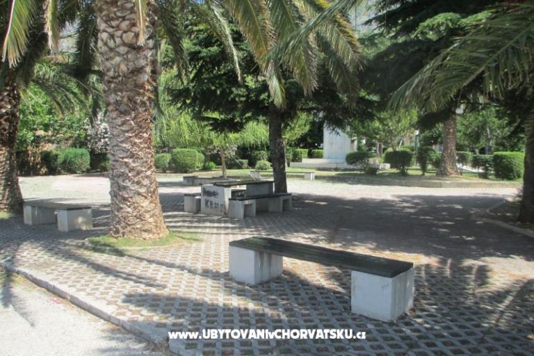  Apartma Bruno – foto 10