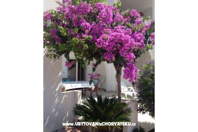 Villa Orij Apartmaji – foto 5