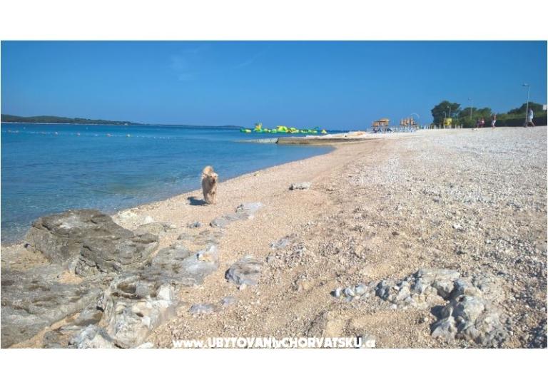 Apartma Flora – foto 13