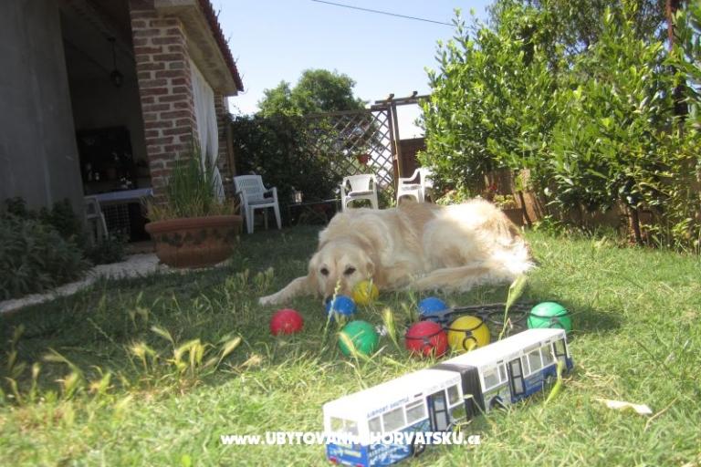 Apartma Flora – foto 14