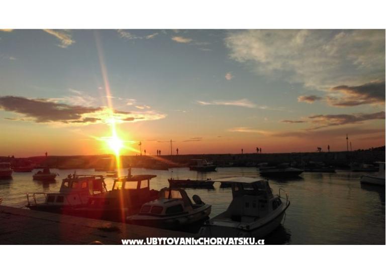 Apartma NIKOLIC – foto 12