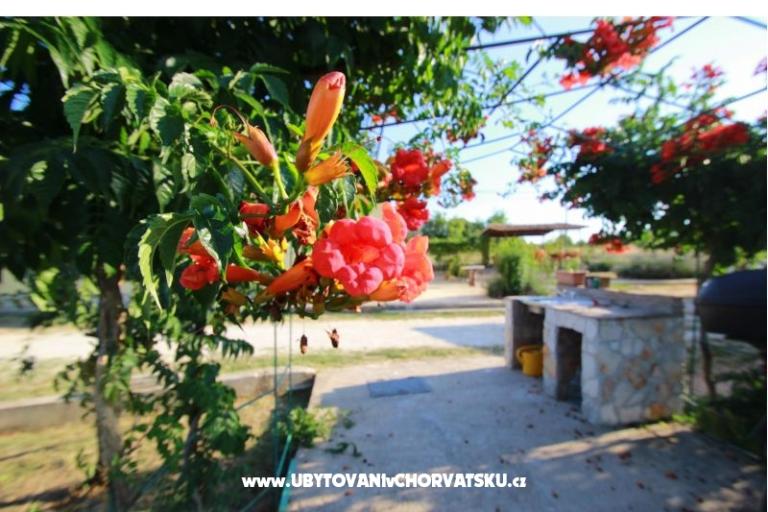 Apartma Sandra  – foto 11