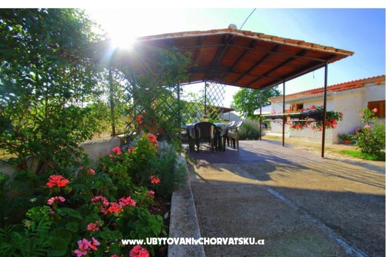 Apartma Sandra  – foto 18