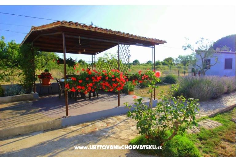 Apartma Sandra  – foto 8