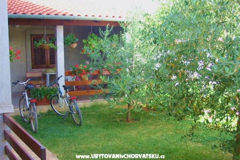 Apartmaji Danica – foto 4